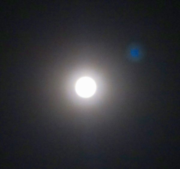 July 2020 and the Lunar Eclipse - PoonamR